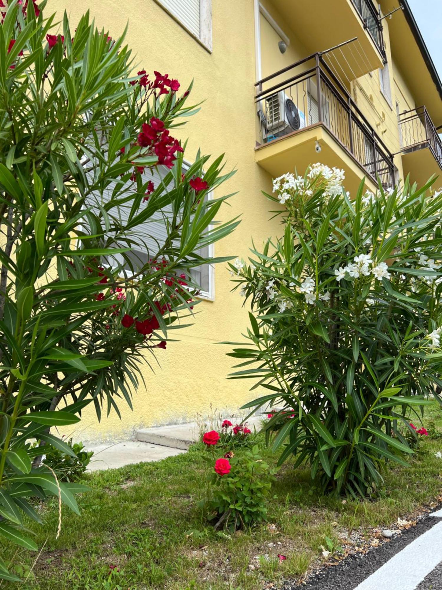 Casa R&E Villa Valbrona Exterior photo